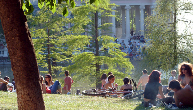 12. Picnic en Madrid; Ambiente apacible con áreas arboladas y espacios verdes, ideal para un picnic especial.