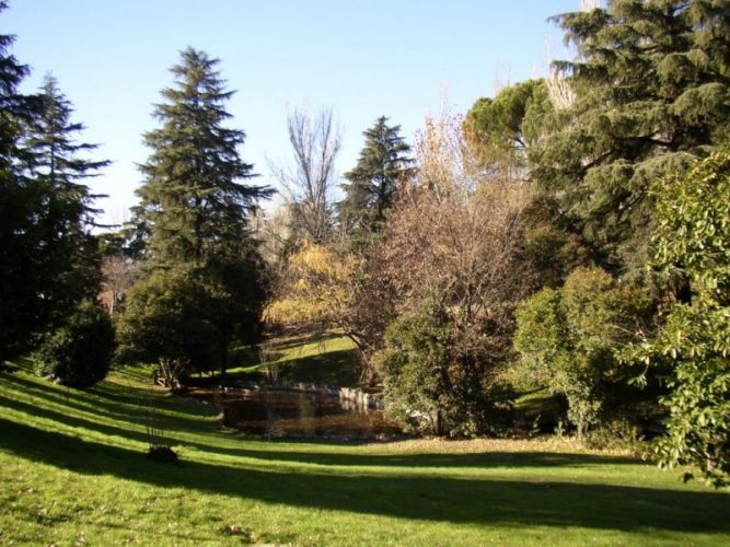 7. Picnic en Madrid; Rincón arbolado y lleno de verdor, ideal para disfrutar de un día al aire libre.