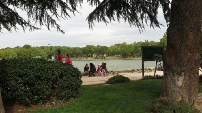 8. Picnic en Madrid; Áreas verdes con sombra de árboles, un entorno apacible para compartir un picnic especial.