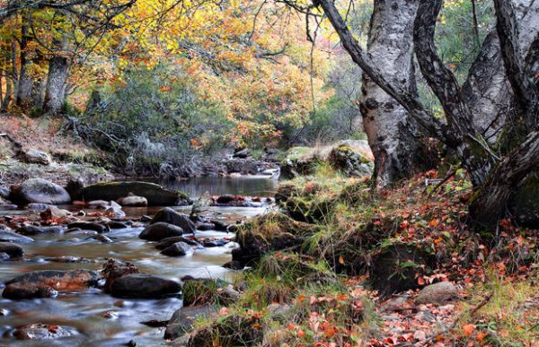 Explora la Sierra del Rincón, una auténtica maravilla de la naturaleza