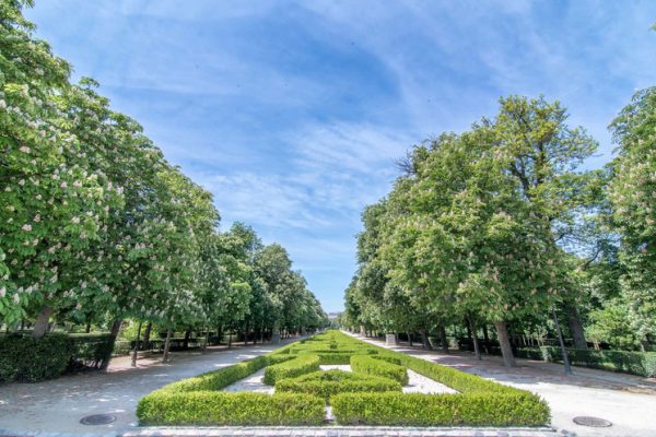 El Retiro de Madrid nombrado el parque más popular de Europa