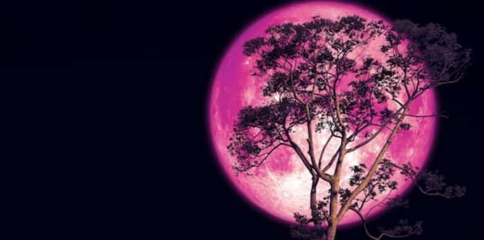 La primavera nos regala la Luna de fresa 2022, primera superluna del año