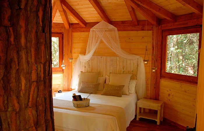 6. Cabañas en los árboles; Tranquilidad y comodidad en cabañas entre las copas de los árboles.