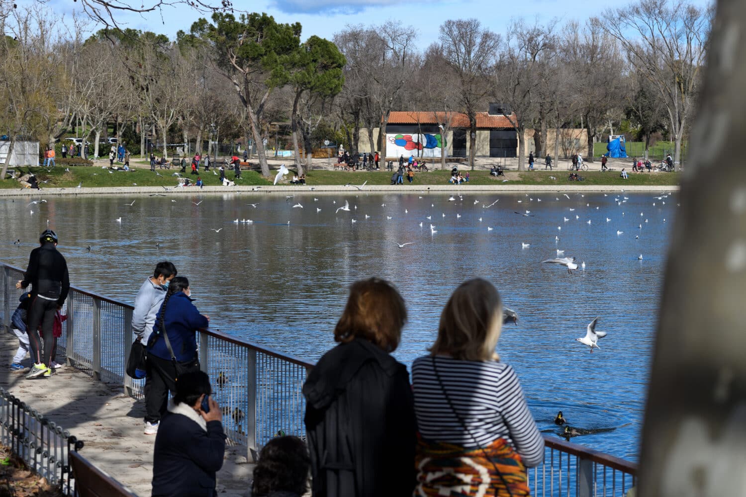 Reabren varios parques de Madrid tras el paso de Filomena